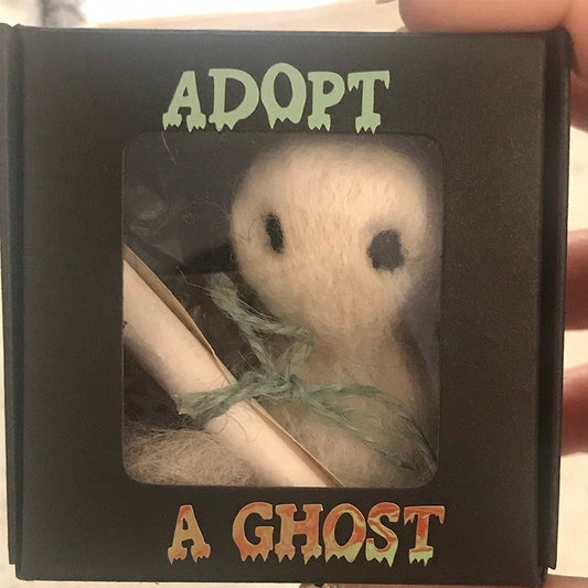 Ghostly Companion Kit - Adopt a Little Spirit of Joy!