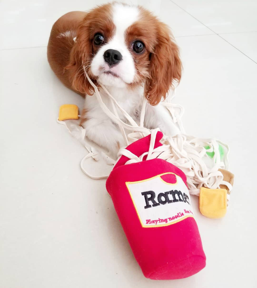 Ramen Sniff Toy™ - Interactive Fun That Keeps Your Pup Engaged