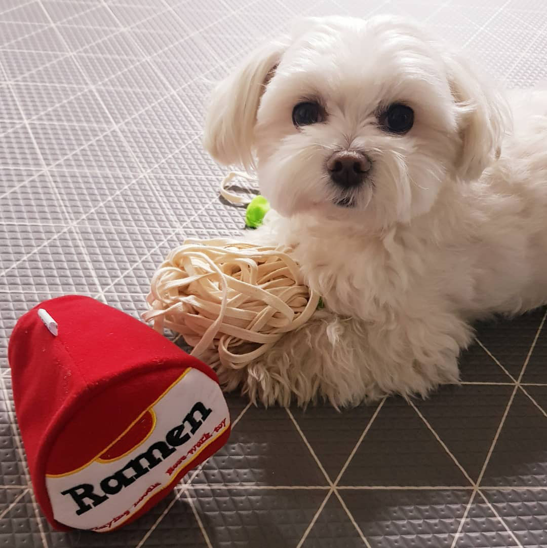 Ramen Sniff Toy™ - Interactive Fun That Keeps Your Pup Engaged